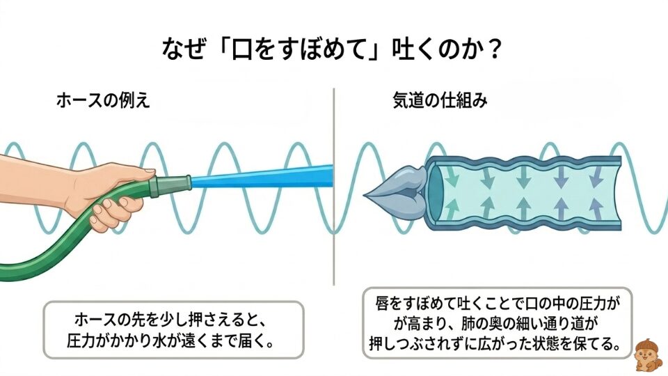 ホースのイメージ
