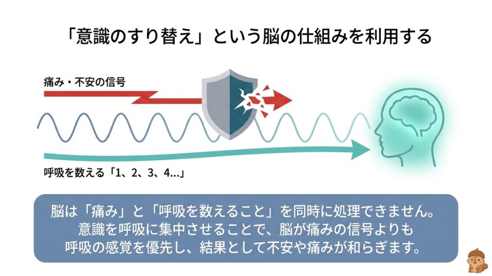 意識の変化イメージ