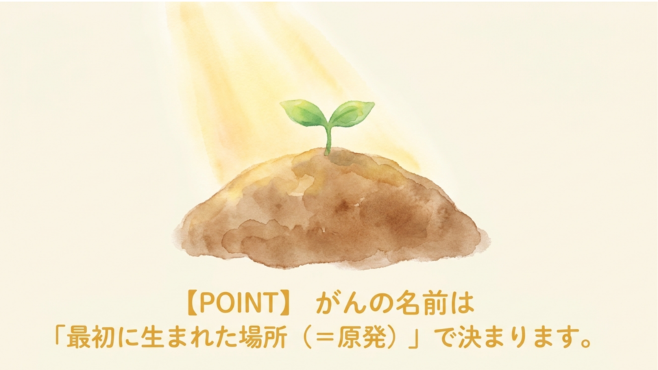 がんの名前は最初に生まれた場所(原発)で決まる